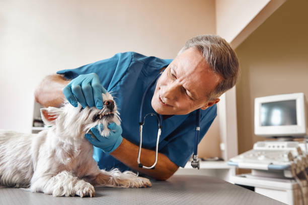 Best Emergency Dental Surgery in Shell Ridge, CA